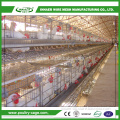 Can add automatic drinking water system chicken cage sales in Namibia